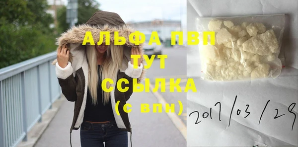 крисы Армянск