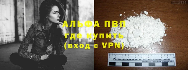 дживик Арсеньев