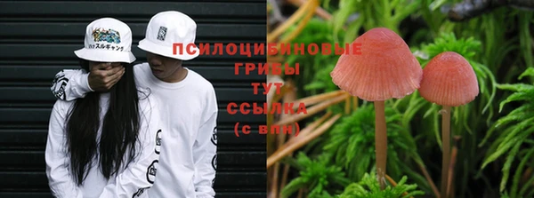 марки lsd Алзамай