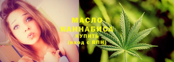 крисы Армянск