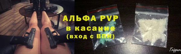 дживик Арсеньев