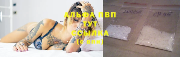 крисы Армянск