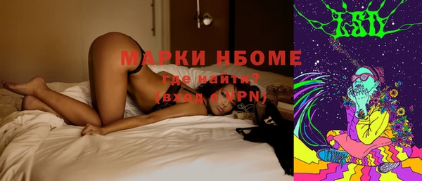 гидра Аркадак