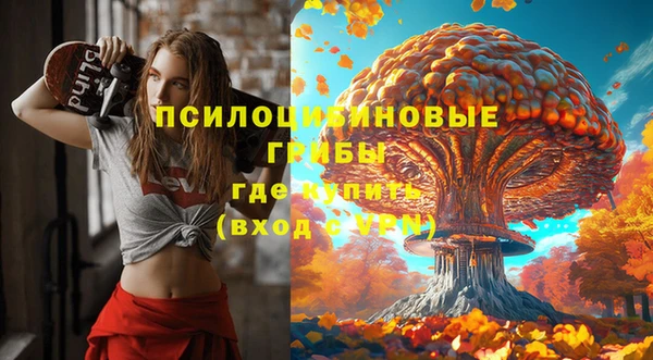 гидра Аркадак