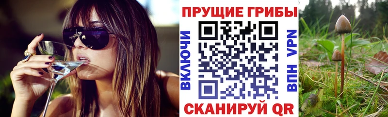 магазин продажи   Байкальск  Псилоцибиновые грибы GOLDEN TEACHER 
